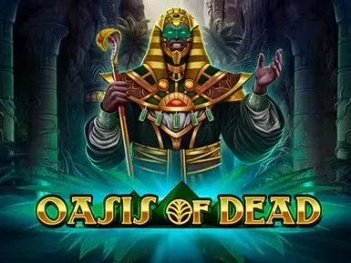 Casinobud screenshot