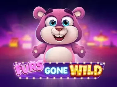 Casinobud screenshot